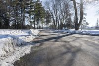 Snow Covered Forest in Residential Area