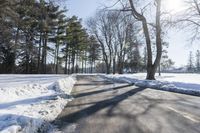 Snow Covered Forest in Residential Area