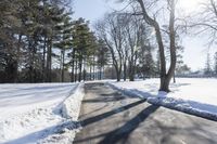 Snow Covered Forest in Residential Area