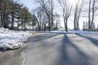 Snow Covered Forest in Residential Area