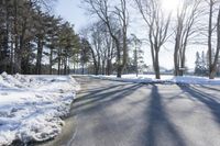 Snow Covered Forest in Residential Area