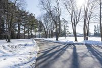 Snow Covered Forest in Residential Area