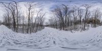 snow - covered forest and a road are seen through a distorted lens lense to see if the image is for perspective