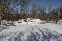 a tree and a hill that is covered in snow by some snow and grass near it