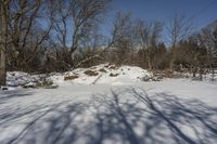 a tree and a hill that is covered in snow by some snow and grass near it