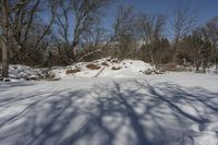 a tree and a hill that is covered in snow by some snow and grass near it