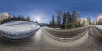 three large curves in the middle of a snow covered slope near tall trees on a sunny day