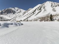 Snow Covered Mountain Range: Winter Scenery