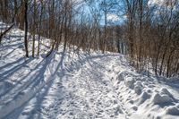 the snow covered mountain trail has tracks in it and many trees around it with snow scattered on the ground