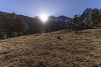 a brown hill covered in snow covered mountains next to forest and a sun ray coming through the top of a large mountain