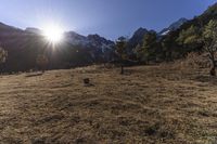 a brown hill covered in snow covered mountains next to forest and a sun ray coming through the top of a large mountain