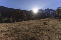 a brown hill covered in snow covered mountains next to forest and a sun ray coming through the top of a large mountain