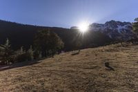 a brown hill covered in snow covered mountains next to forest and a sun ray coming through the top of a large mountain