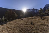 a brown hill covered in snow covered mountains next to forest and a sun ray coming through the top of a large mountain