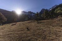 a brown hill covered in snow covered mountains next to forest and a sun ray coming through the top of a large mountain