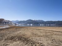 a dry field with many wind generators in the background and snow covered mountains on either side