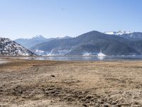 a dry field with many wind generators in the background and snow covered mountains on either side