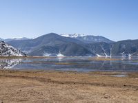 a dry field with many wind generators in the background and snow covered mountains on either side