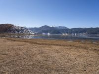 a dry field with many wind generators in the background and snow covered mountains on either side