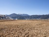 a dry field with many wind generators in the background and snow covered mountains on either side