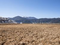 a dry field with many wind generators in the background and snow covered mountains on either side