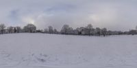 the snow covered park has many tracks and trees on it, including one snow board