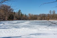 an image of the snow field with many tracks in it's snow shoes and trees