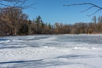 an image of the snow field with many tracks in it's snow shoes and trees