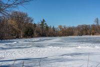 an image of the snow field with many tracks in it's snow shoes and trees