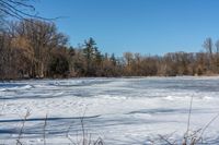 an image of the snow field with many tracks in it's snow shoes and trees