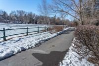 there is a snow covered area on the street in front of this park area with a path lined with snow