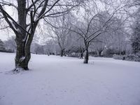 a snow covered park is in the middle of winter with tree branches covered in snow