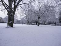 a snow covered park is in the middle of winter with tree branches covered in snow