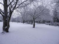 a snow covered park is in the middle of winter with tree branches covered in snow