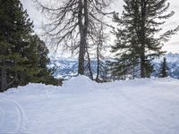 Snow Covered Path in the Alps, Switzerland