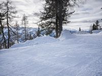 Snow Covered Path in the Alps, Switzerland