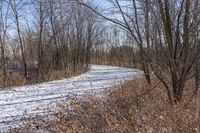 the view of a snow covered path in a wooded area with lots of bare trees