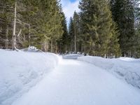 two people cross country skiing on a snow covered path surrounded by trees in the woods