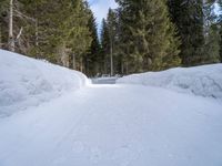 two people cross country skiing on a snow covered path surrounded by trees in the woods