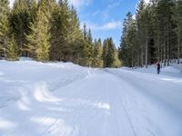 two people cross country skiing on a snow covered path surrounded by trees in the woods