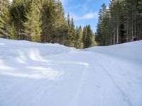 two people cross country skiing on a snow covered path surrounded by trees in the woods