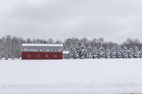 a red barn is covered by snow next to trees in the winter time that is gray in color