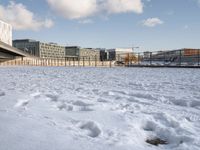 a dog standing in the snow in front of a bridge and a building in the background