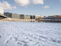 a dog standing in the snow in front of a bridge and a building in the background