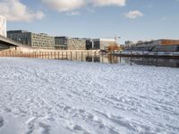 a dog standing in the snow in front of a bridge and a building in the background