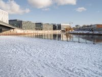 a dog standing in the snow in front of a bridge and a building in the background