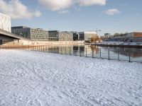 a dog standing in the snow in front of a bridge and a building in the background