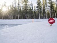 Snow Covered Road in California near Mammoth Lake