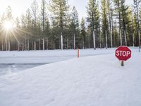 Snow Covered Road in California near Mammoth Lake