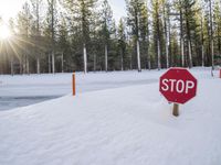 Snow Covered Road in California near Mammoth Lake